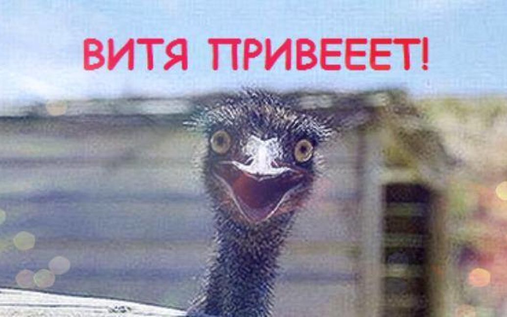 Юзеры Сети высмеивают Януковича / © facebook.com/sergonaumovich