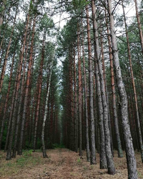  / © instagram.com/ivaschenko0508