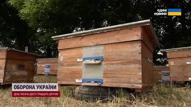 Мед вже дозволять собі не всі! Пасічники вразили прогнозом цін!