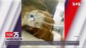 "Мисс Англию" ужалила смертоносная медуза во время отдыха на Маврикии