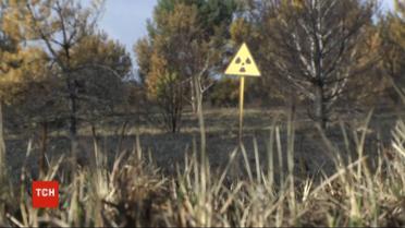 Дим без вогню: рятувальники продовжують ліквідовувати тління у Чорнобильській зоні
