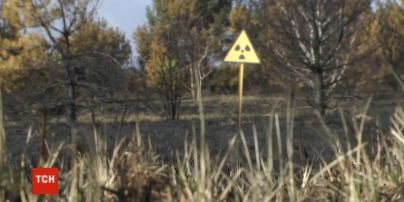 Дим без вогню: рятувальники продовжують ліквідовувати тління у Чорнобильській зоні