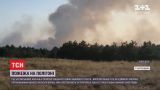 После учебных стрельб на военном полигоне выгорело более 10 гектаров леса