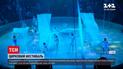Новини України: у Києві вперше за увесь час пандемії відгримів фестиваль циркового мистецтва