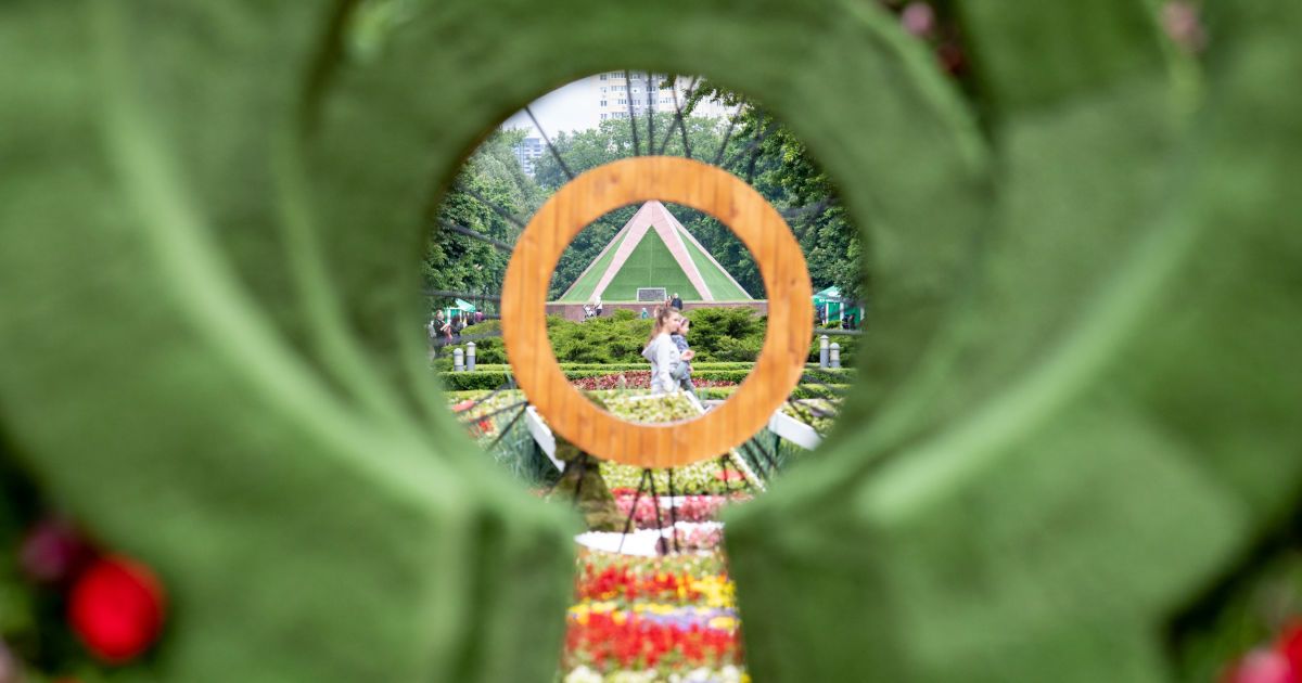 виставка Аліса в країні див Київ_4 / © КГГА