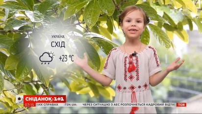 Прогноз погоды на 30-31 мая от маленькой Фроси
