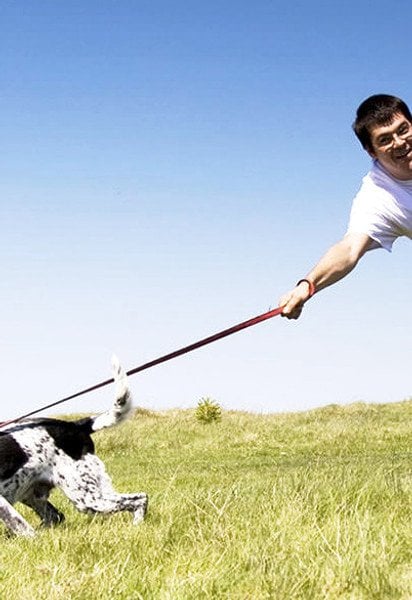 Як відучити собаку тягнути повідець