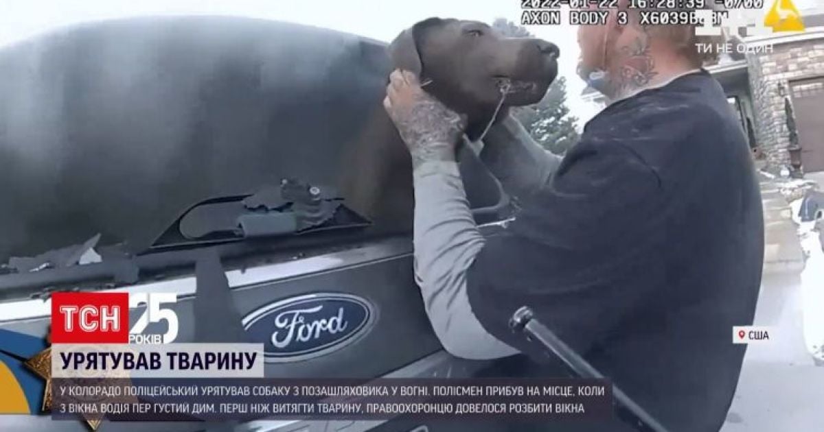 Героїчний порятунок: у США поліцейський витягнув собаку з охопленого вогнем авто