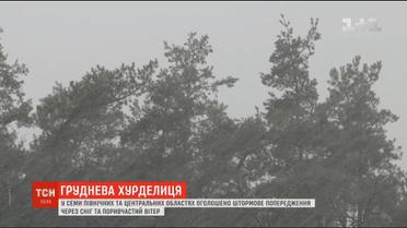 Негода в Україні: синоптики прогнозують до 20 сантиметрів снігу