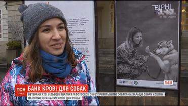 Ветерани АТО долучилися до створення першого у західній Україні банку крові для тварин