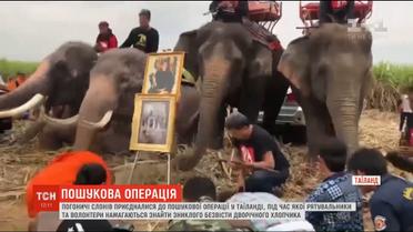 У Таїланді слони-пошуковики намагаються знайти зниклого дворічного хлопчика