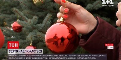 На Софійській площі в Києві почали спорудження головної ялинки країни