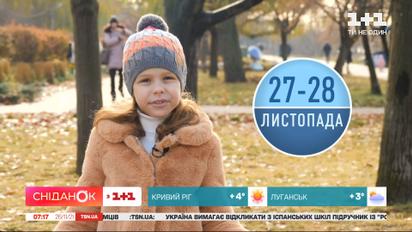 Погода на 27-28 листопада від Фросі