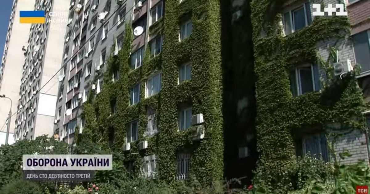 Київ під час війни взялися озеленювати у досить незвичний спосіб