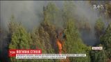 Возле Лиссабона занялся масштабный лесной пожар