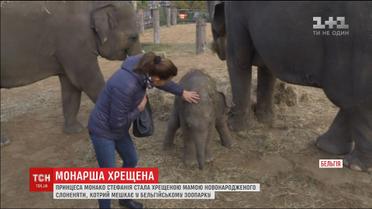 Принцеса Монако Стефанія стала хрещеною мамою слоненяти