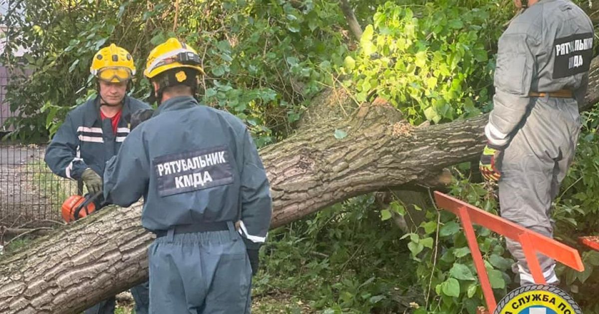 На Троєщині під час грози дерево впало на намет з людьми / Фото: КАРС