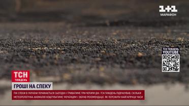 Пік спеки розпочинається! Яку несподівану вигоду отримає Україна від зміни клімату?