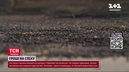 Пік спеки розпочинається! Яку несподівану вигоду отримає Україна від зміни клімату?
