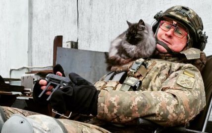 Пухнастики з окопів: що насправді стоїть за милими фотографіями військових котиками та песиками на передовій