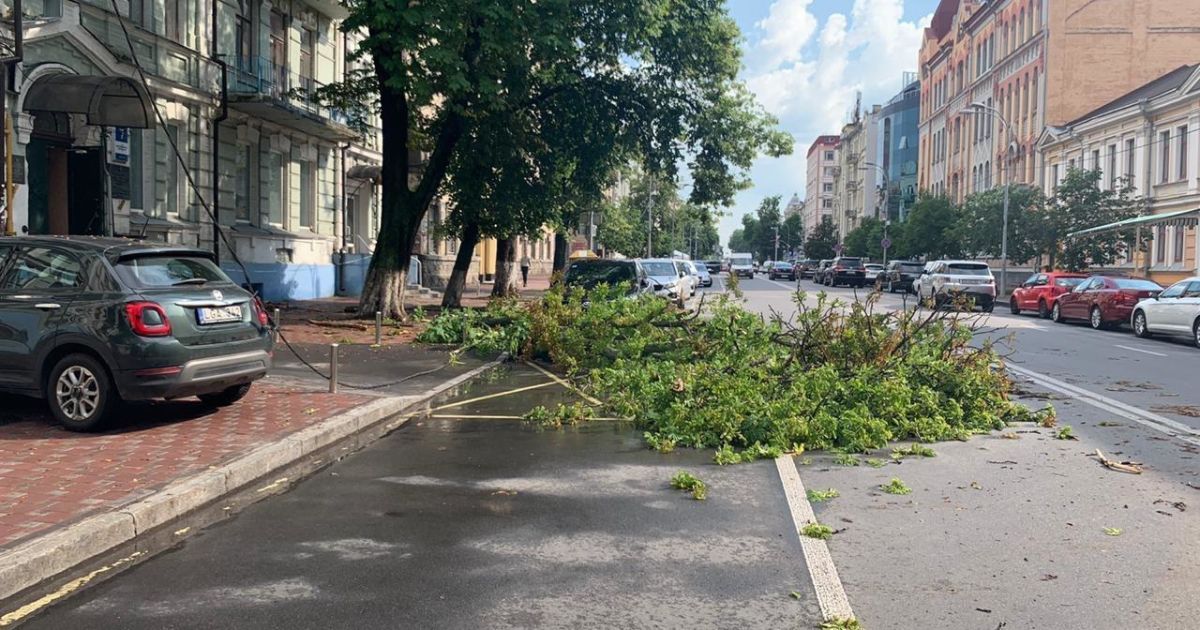 дерево