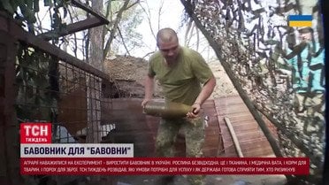 Неожиданно! А вы знали, из чего делают порох? Убийственные урожаи на юге Украины