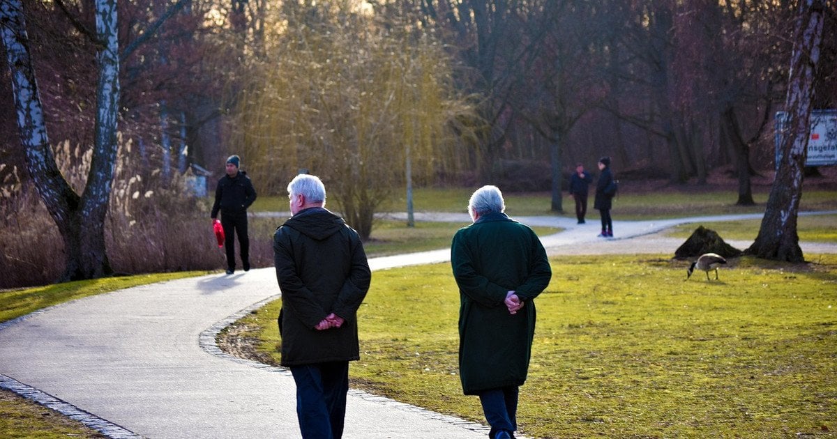 Держава визначає розмір пенсії за інвалідністю у відсотках від пенсії за віком