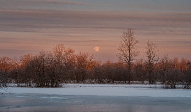 Народні прикмети 8 лютого / © pexels.com