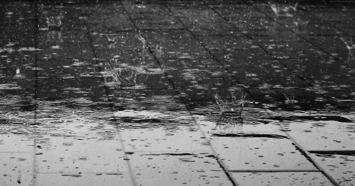 Атака стихії: у Луцьку потужна злива із градом валить дерева і затоплює вулиці