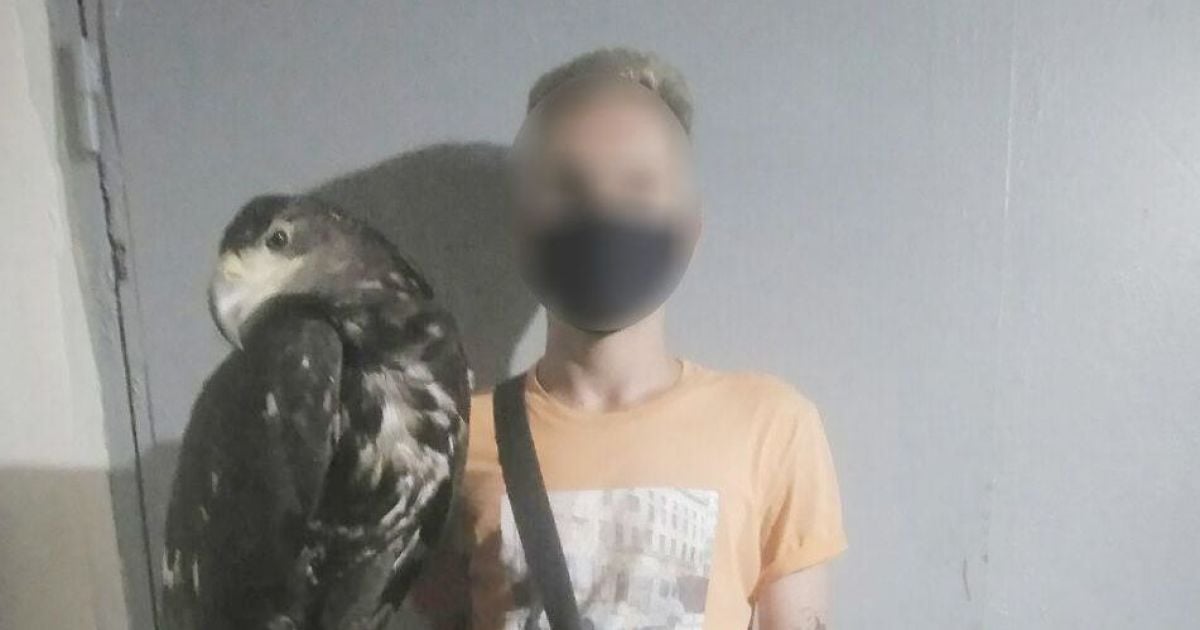 У курортному Коблевому знущалися з тварин: що загрожує кривдникам