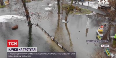 Утки на тротуарах: в Днепре озеро в городском детском парке вышло из берегов