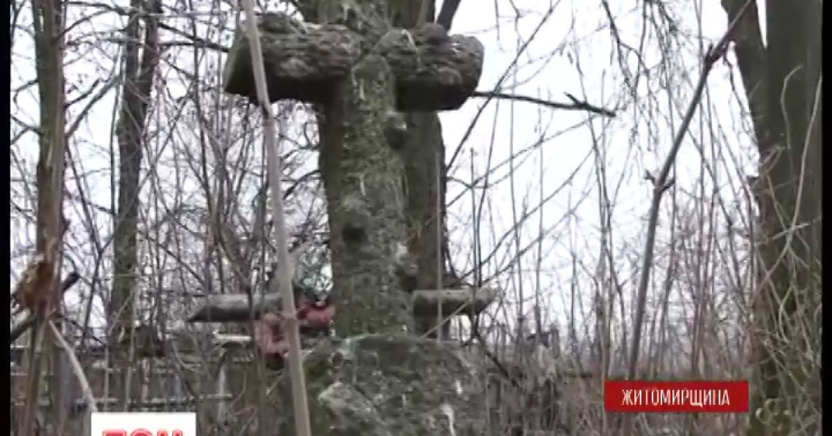 Оба участника конфликта имели проблемы с законом