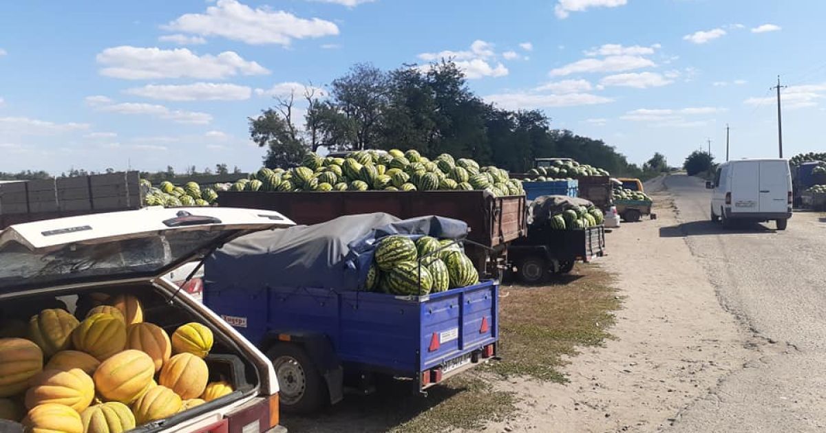 "Ніхто кавунчика не запропонував": херсонські медики обурені, що смугасті розбили, а не віддали