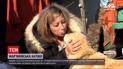 Новини України: ТСН допомогла білосніжній лайці знайти нових господарів