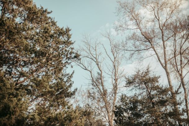 Погода в Украине кардинально ухудшится: где ждать похолодания 10-11 мая