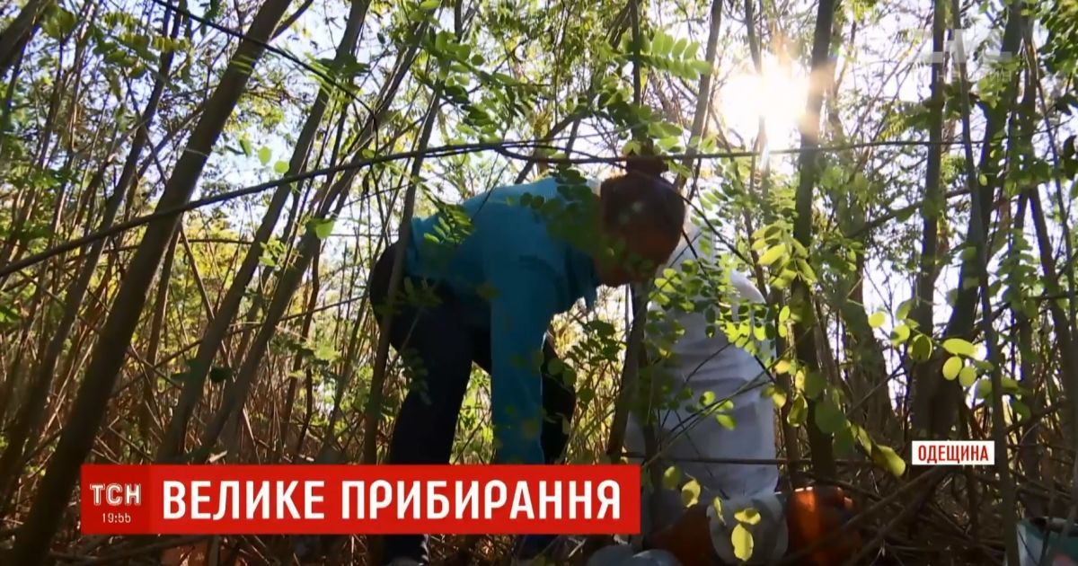 В Одесской области волонтеры сплотились на уборку берегов Днестра