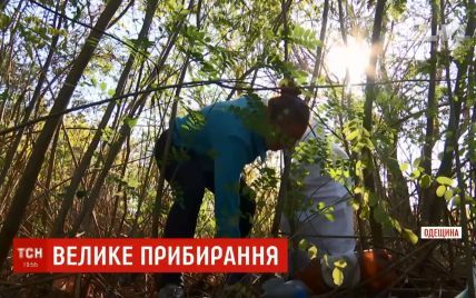 В Одесской области волонтеры сплотились на уборку берегов Днестра