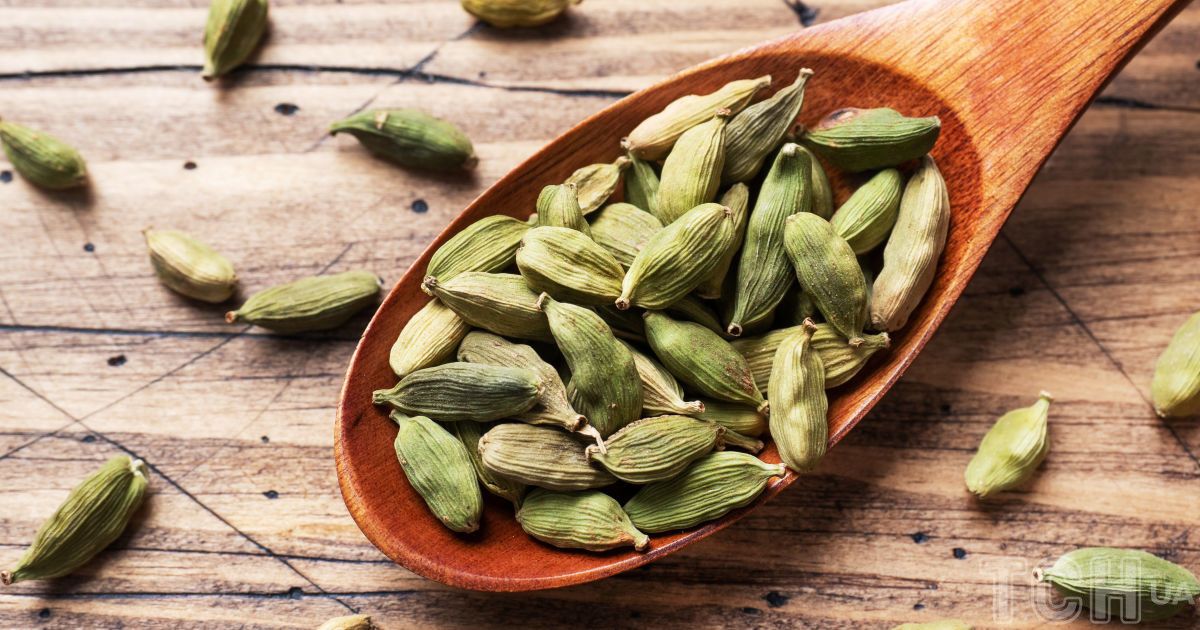 Диктегі үлкен жопа