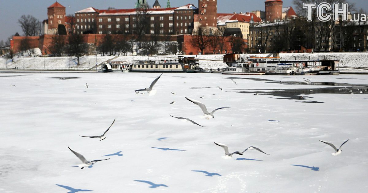 Польща / © Reuters