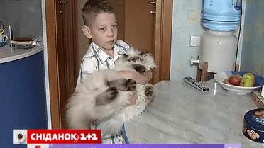 Как не воспитать ребенка самовлюбленным нарциссом