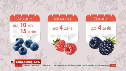 Почему в этом году выросли цены на ягоды
