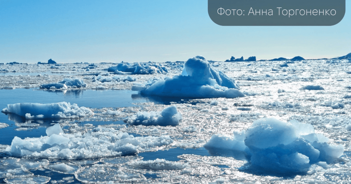 Снігові млинці