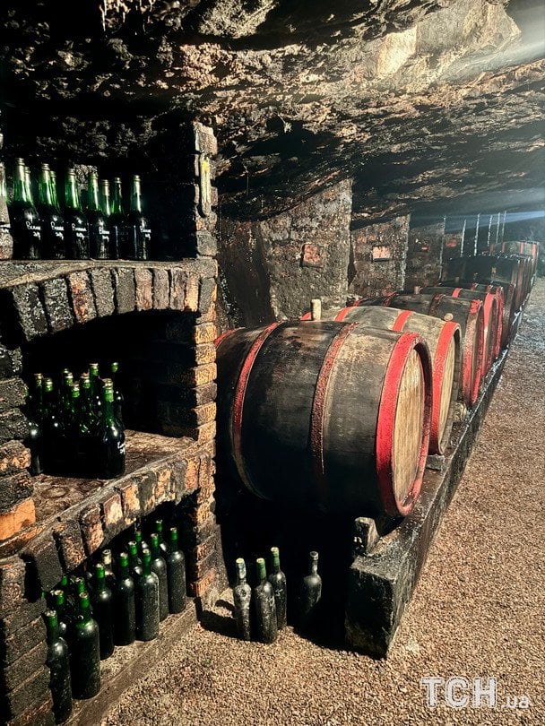  / © Аліна Онопа, ТСН.ua