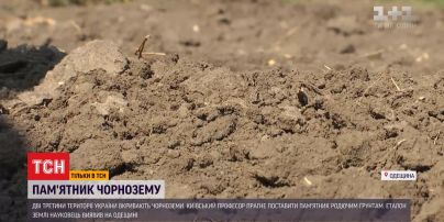 Професор віднайшов, де в Україні найкращий чорнозем, і хоче поставити йому пам'ятник