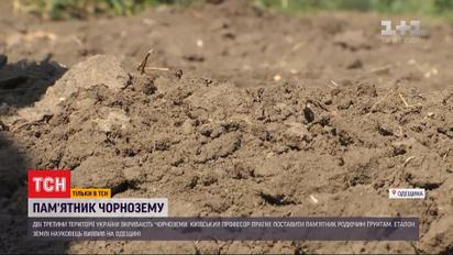 Професор віднайшов, де в Україні найкращий чорнозем, і хоче поставити йому пам'ятник