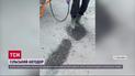 Сами залатали ямы - где у селян нашлось столько денег