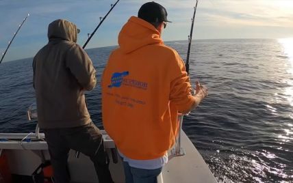 Боролася з рибалками 90 хвилин: величезна акула у США пошматувала тунця, поки його підіймали на човен