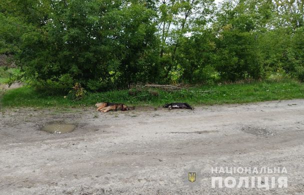  / © ГУ Нацполіції у Волинській області