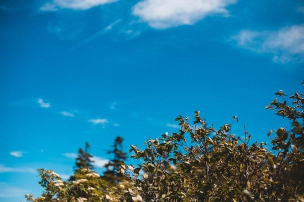 Народные приметы 9 июля / © pexels.com