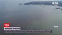 "Красный прилив": одесское побережье заполонили розовые водоросли